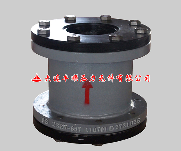 1557294615860697.jpg 止(zhǐ)回閥.jpg